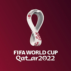 G20成员